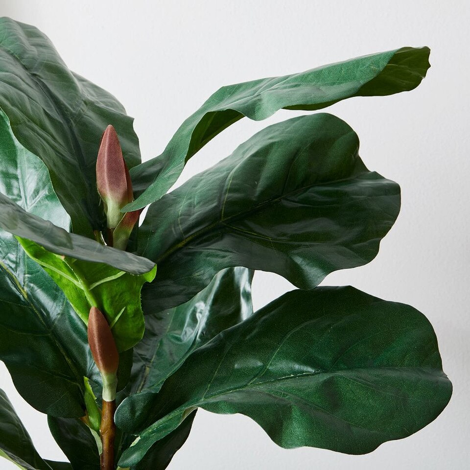 Faux Potted Fiddle Leaf Fig Plants West Elm UK